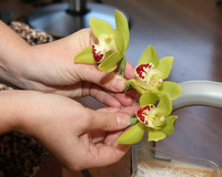1646 Rosalie-and-Bryan wedding Salon 202 091209