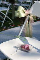 1681 Rosalie-and-Bryan Wedding Day 091209